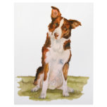 Border Collie Custom Letterhead