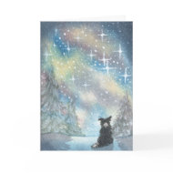 Border Collie Looks At Starry Sky, Holidays card
