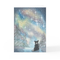 Border Collie Looks At Starry Sky, Holidays CARD
