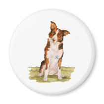 Border Collie Fridge Magnets