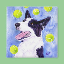 Border Collie Magnet - "Magpie's Gold" magnets