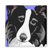 Border Collie Magnets magnets