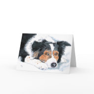 Border Collie Mattie Greeting Cards card
