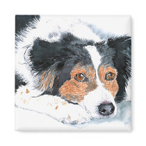 Border Collie Mattie Magnet