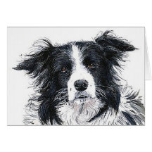 Border Collie Notecard