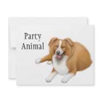 Border Collie Party Animal Invitation