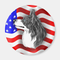 Border Collie Patriot magnets