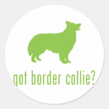 Border collie pegatinas  