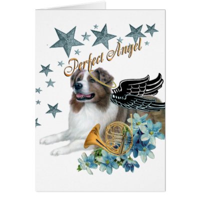 Border Collie Perfect Angel Card by friskybiz