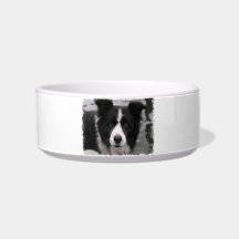Border Collie Pet Bowl
