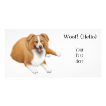 Border Collie Photo Card photo cards by twopurringcats Border Collie Photo Card photo cards