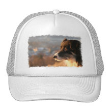 Border Collie Photos Baseball Hat