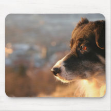 Border Collie Photos Mouse Pad