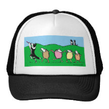 Border Collie Pied Piper Hat