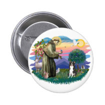 Border Collie buttons