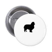 Border collie botones