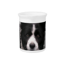 Border Collie Pitcher