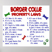 BORDER COLLIE PL2 PRINT