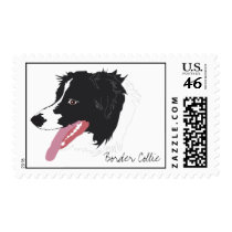Border Collie Portrait Stamp stamps