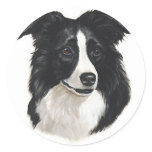 Border Collie Portrait Stickers