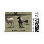 Border Collie Postage