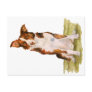 Border Collie Post Cards