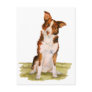 Border Collie Postcards