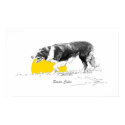 Border Collie posters by pawtraitart Border Collie posters