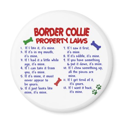 Border Collie Property Laws 2 Refrigerator Magnet