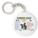 Border Collie Property Laws 4 keychains