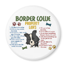 Border Collie Property Laws 4 Magnets
