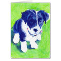 Border Collie Pup in coloured Pencil cards by pencilpetportraits Border Collie Pup in coloured Pencil cards
