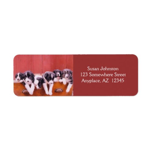 Border Collie Puppies Address Label label