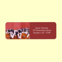 Border Collie Puppies Address Label labels