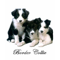Border Collie Puppies t-shirts by 4dogscats Border Collie Puppies t-shirts