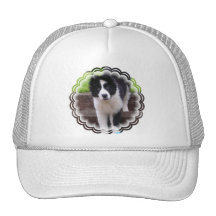 Border Collie Puppy Baseball Cap Mesh Hat