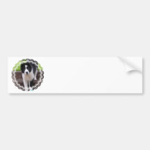 Border Collie Puppy Bumper Sticker