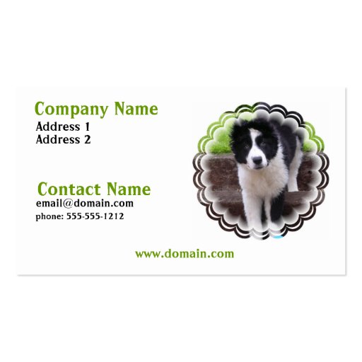 Border Collie Puppy Business Card