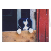 Border Collie Puppy Dog Blank Note Card