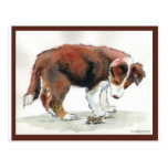 Border Collie Puppy & Grasshopper Post Card