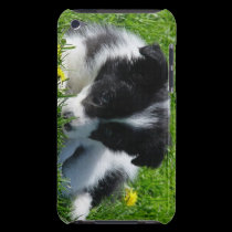 Border Collie Puppy iPod Touch Case casemate cases
