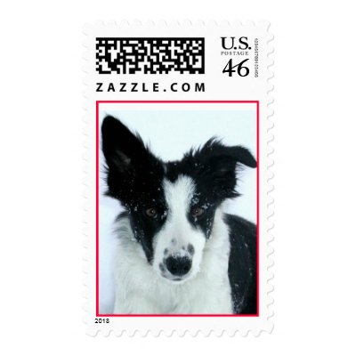 Border Collie Puppy Postage Stamps