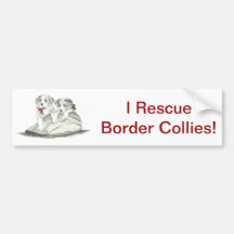Border Collie Pups Bumper Sticker
