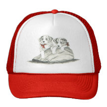 Border Collie Pups Hat