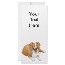 Border Collie Rack Card rack cards