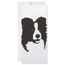 Border Collie Customized Rack Card