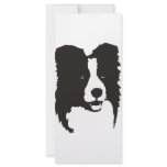 Border Collie Customized Rack Card