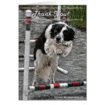 Border Collie Rescue Thank You Notes Cards