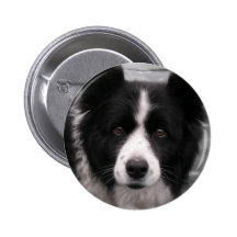 Border Collie Round Button