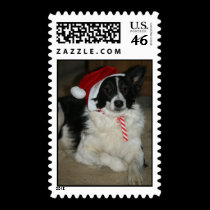 Border Collie Santa Christmas Postage Stamp stamps